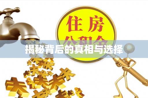 雄县揭秘背后的真相与选择