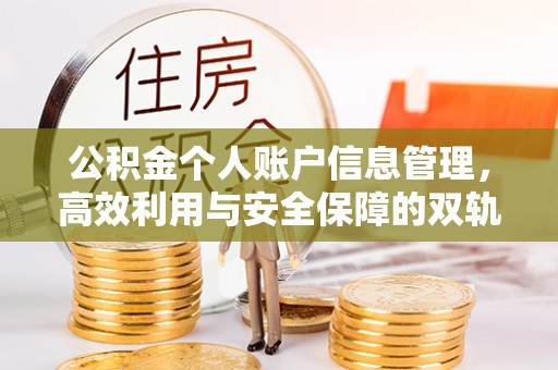 雄县公积金个人账户信息管理，高效利用与安全保障的双轨并行
