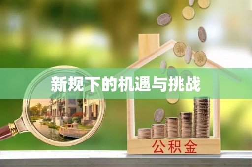 雄县新规下的机遇与挑战