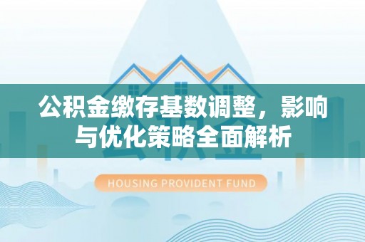 雄县公积金缴存基数调整，影响与优化策略全面解析