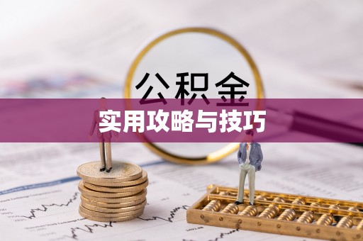 雄县实用攻略与技巧