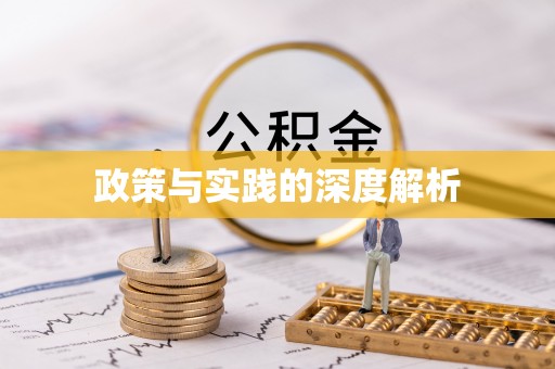 雄县政策与实践的深度解析