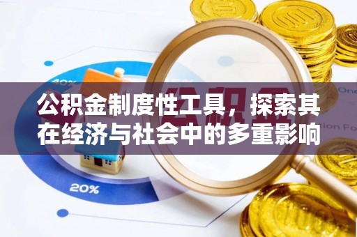 雄县公积金制度性工具，探索其在经济与社会中的多重影响