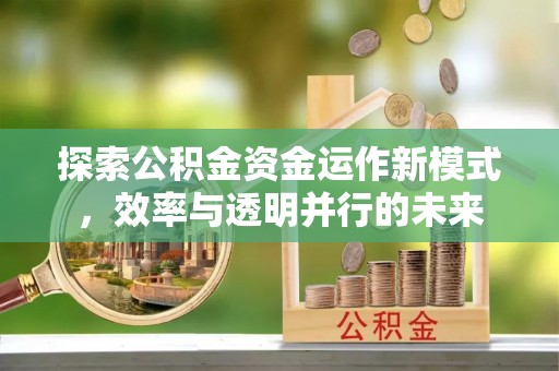 雄县探索公积金资金运作新模式，效率与透明并行的未来