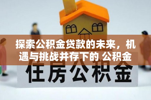 雄县探索公积金贷款的未来，机遇与挑战并存下的 公积金贷款风险防控