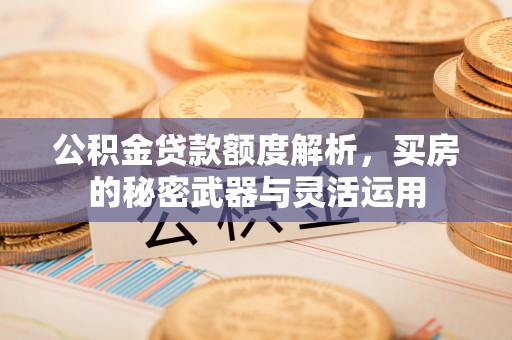 雄县公积金贷款额度解析，买房的秘密武器与灵活运用