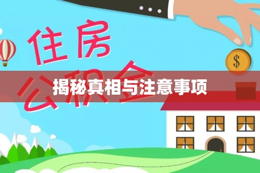 雄县揭秘真相与注意事项