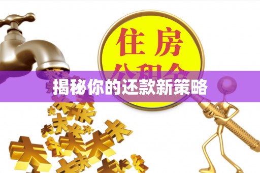 雄县揭秘你的还款新策略