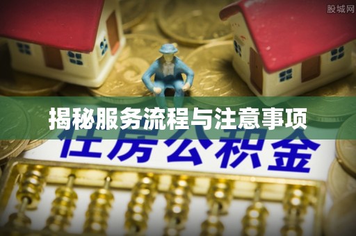 雄县揭秘服务流程与注意事项