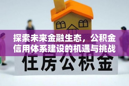 雄县探索未来金融生态，公积金信用体系建设的机遇与挑战