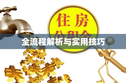 雄县全流程解析与实用技巧