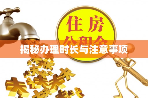 雄县揭秘办理时长与注意事项