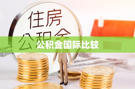 雄县公积金国际比较
