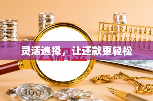 雄县灵活选择，让还款更轻松
