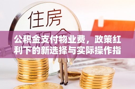 雄县公积金支付物业费，政策红利下的新选择与实际操作指南