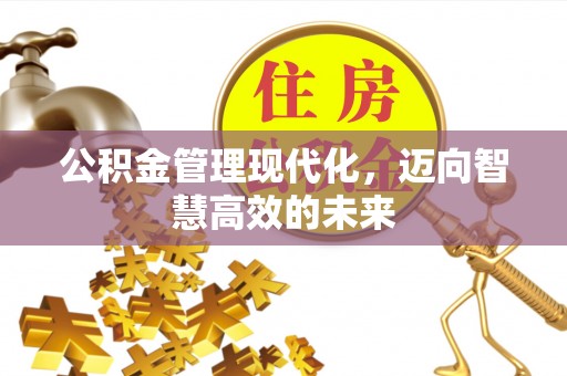 雄县公积金管理现代化，迈向智慧高效的未来