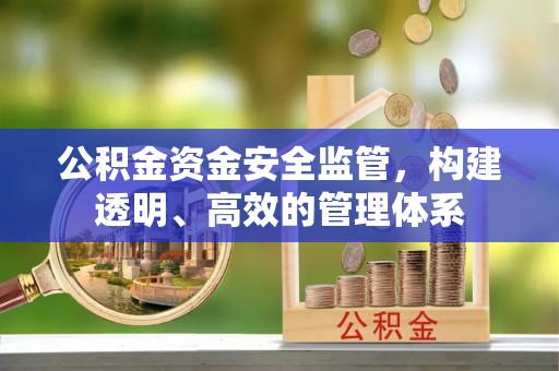 雄县公积金资金安全监管，构建透明、高效的管理体系