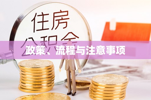 雄县政策、流程与注意事项