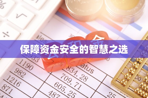 雄县保障资金安全的智慧之选