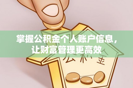 雄县掌握公积金个人账户信息，让财富管理更高效