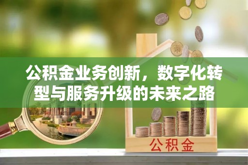 雄县公积金业务创新，数字化转型与服务升级的未来之路