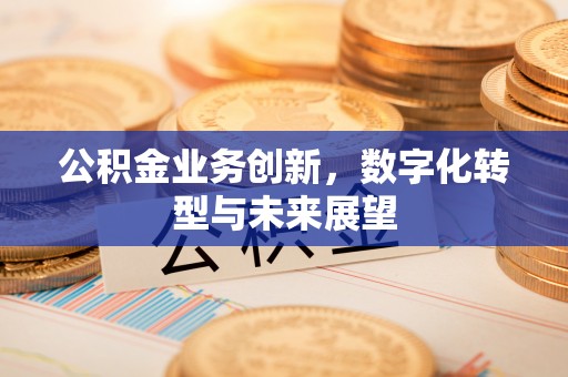雄县公积金业务创新，数字化转型与未来展望