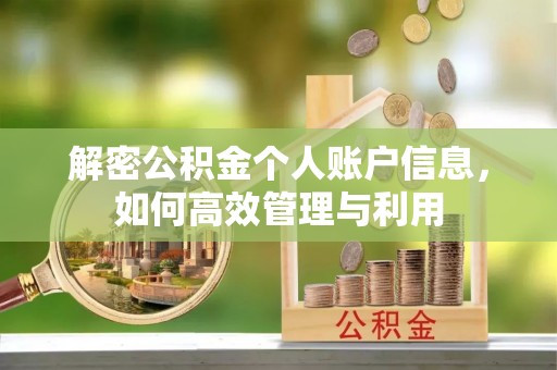 雄县解密公积金个人账户信息，如何高效管理与利用