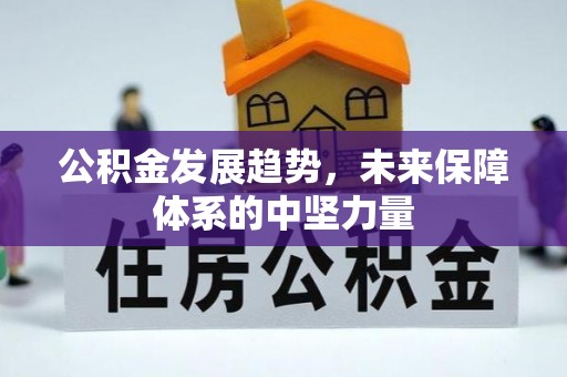 雄县公积金发展趋势，未来保障体系的中坚力量