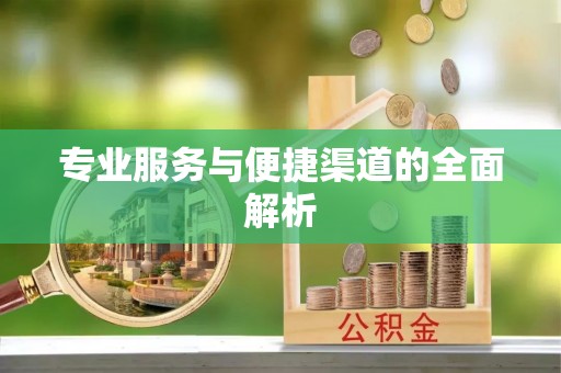 雄县专业服务与便捷渠道的全面解析