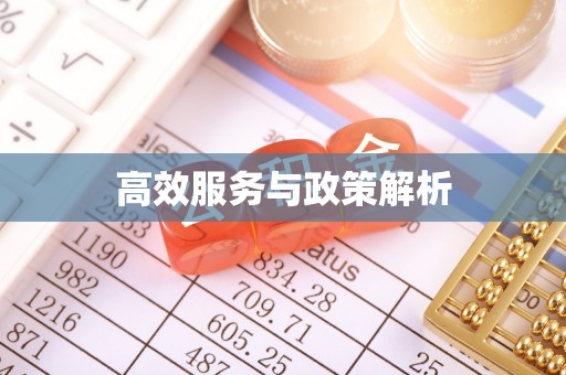 雄县高效服务与政策解析