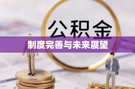 雄县制度完善与未来展望