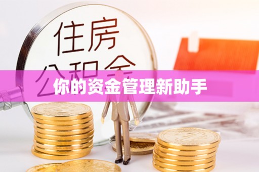 雄县你的资金管理新助手