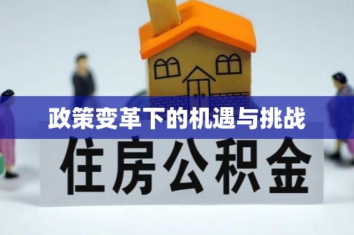 雄县政策变革下的机遇与挑战