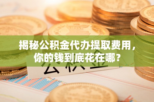 雄县揭秘公积金代办提取费用，你的钱到底花在哪？