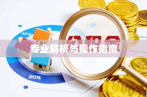 雄县专业解析与操作指南