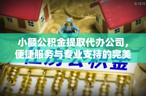 雄县小额公积金提取代办公司，便捷服务与专业支持的完美结合