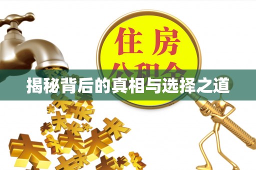 雄县揭秘背后的真相与选择之道