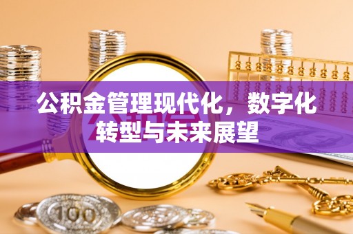 雄县公积金管理现代化，数字化转型与未来展望