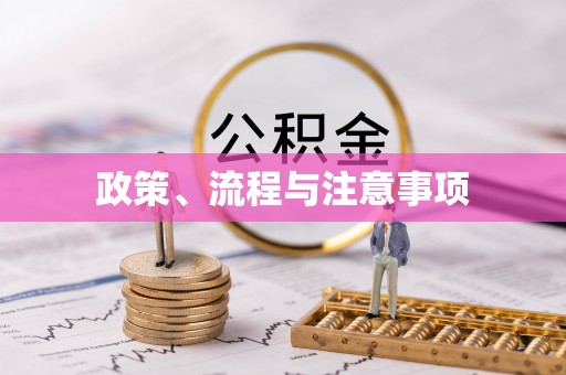 雄县政策、流程与注意事项