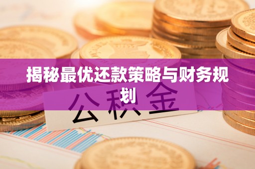 雄县揭秘最优还款策略与财务规划