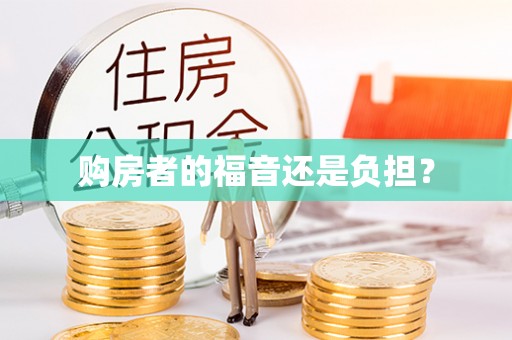 雄县购房者的福音还是负担？