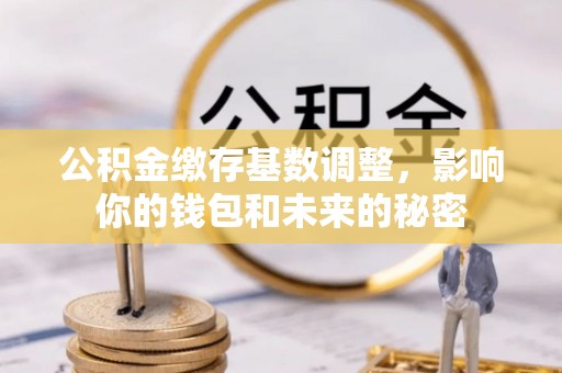 雄县公积金缴存基数调整，影响你的钱包和未来的秘密