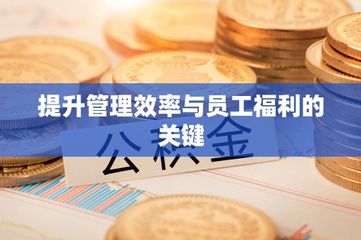 雄县提升管理效率与员工福利的关键