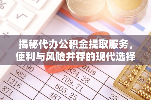雄县揭秘代办公积金提取服务，便利与风险并存的现代选择