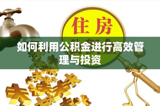 雄县如何利用公积金进行高效管理与投资