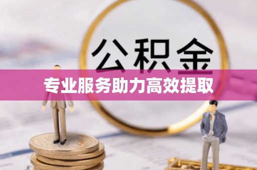 雄县专业服务助力高效提取