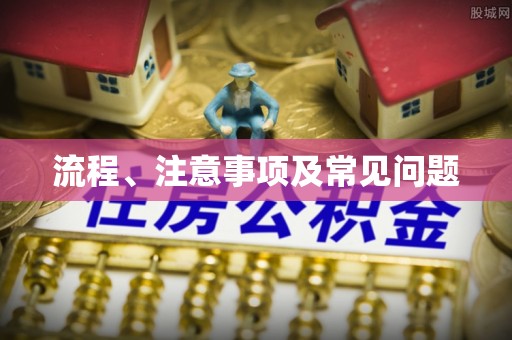 雄县流程、注意事项及常见问题