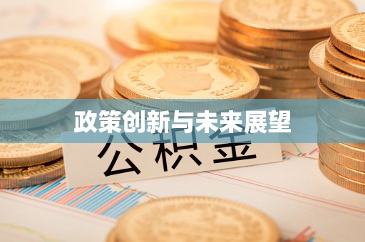 雄县政策创新与未来展望