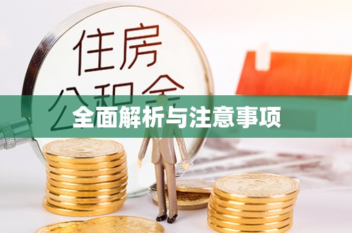 雄县全面解析与注意事项