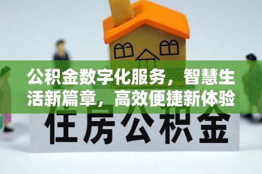 雄县公积金数字化服务，智慧生活新篇章，高效便捷新体验